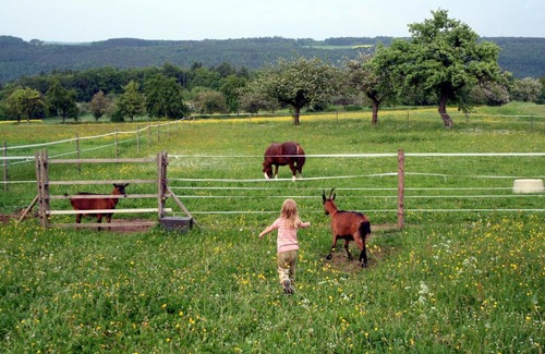 Preunschen Apartment | Ferienhof Sennert