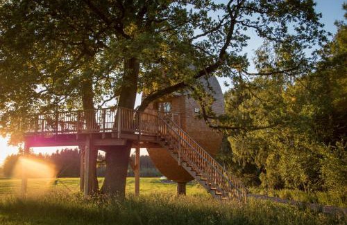 Betzigau Apartment | Ferienhof und Baumhaushotel