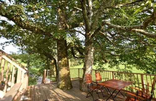 Betzigau Apartment | Ferienhof und Baumhaushotel