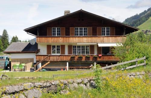 Lenk Apartment | Ferienlenk Mountain Village