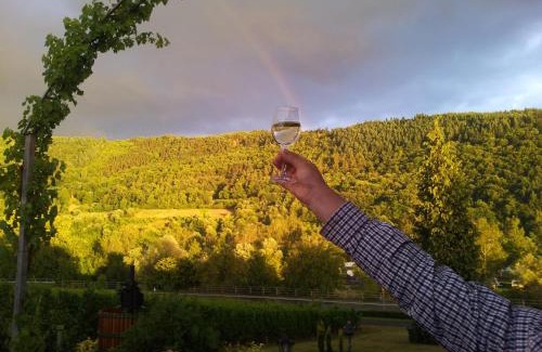 Nehren House | Ferienweingut-Liebfried