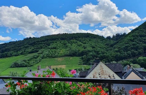 Valwig Bed & Breakfast | Ferienweingut Stein