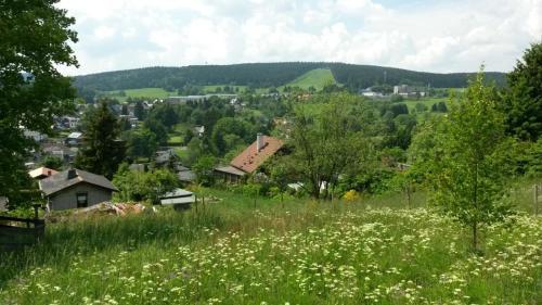 Schmiedefeld am Rennsteig Apartment | Ferienwohnung Ritter