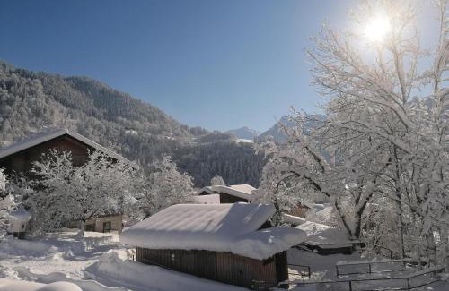 Sankt Anton im Montafon Apartment | Ferienwohnung Ulrike