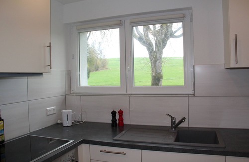 Uehlingen-Birkendorf Apartment | Ferienwohnung mit Großer Terrasse