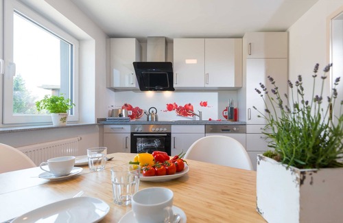 Benneckenstein Apartment | Ferienwohnung Harzer Bachtäler