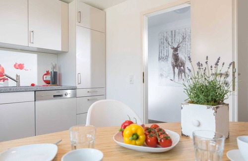Benneckenstein Apartment | Ferienwohnung Harzer Bachtäler