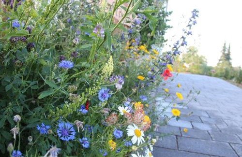 Dillingen an der Donau Apartment | Ferienwohnungen "Blumenwiese"