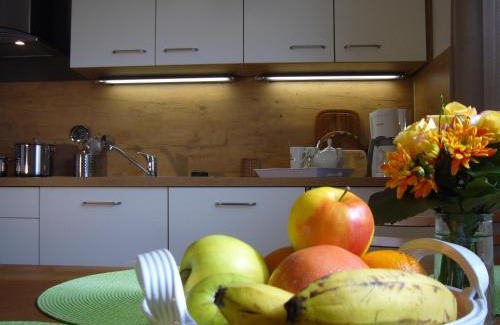 Neuburg an der Kammel Apartment | FerienwohnungenAufDemDorf nahe LEGOLAND