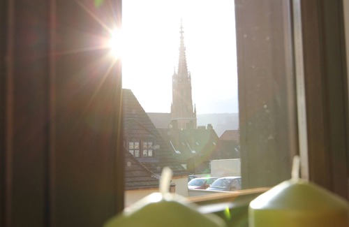 Wurzburg City Centre Apartment | Ferienwohnung 1 ANNA IFF - Würzburg/city center