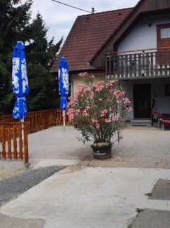 Sankt Nikolai im Sausal Apartment | Ferienwohnung 1 Jöbstl