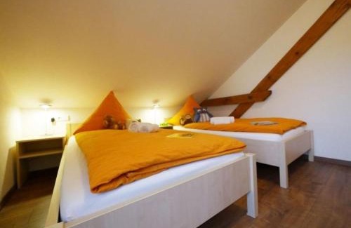 Ochsenhausen Apartment | Ferienwohnung 5
