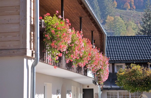 St. Blasien Apartment | Ferienwohnung 8 - Herzogenhorn OG, 73qm, 2 Schlafzimmer, max. 6 Personen