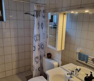 Seelbach-Schutter Apartment | Ferienwohnung auf Kampen