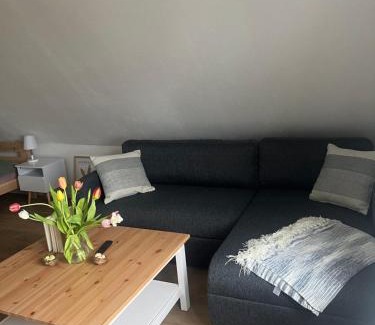 Vynen Apartment | Ferienwohnung Abby