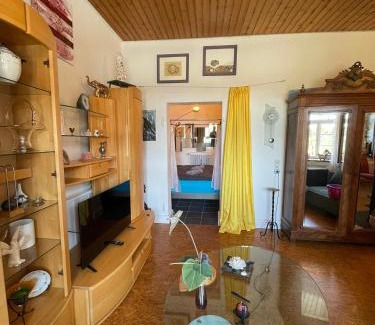 Rickenbach Apartment | Ferienwohnung Altes Rathaus Bergalingen