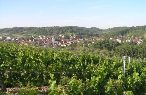 Ochsenfurt Apartment | Ferienwohnung Am Alten Berg