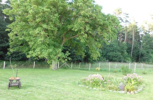 Demmin House | Ferienwohnung am "Amazonas des Nordens"