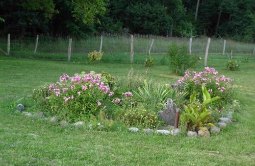 Demmin House | Ferienwohnung am "Amazonas des Nordens"