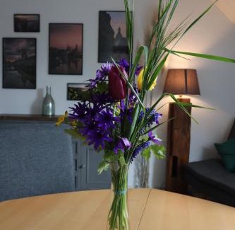 Großsedlitz Apartment | Ferienwohnung am Barockgarten