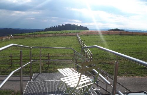 Haselbach Apartment | Ferienwohnung am Dachsberg, Bayerischer Wald