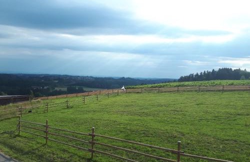 Haselbach Apartment | Ferienwohnung am Dachsberg, Bayerischer Wald