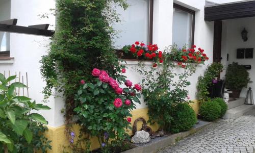 Berg Apartment | Ferienwohnung "Am Eisenbühl"