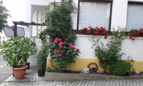 Berg Apartment | Ferienwohnung "Am Eisenbühl"