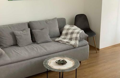 Bruhlervorstadt Apartment | Ferienwohnung Am Luisenpark