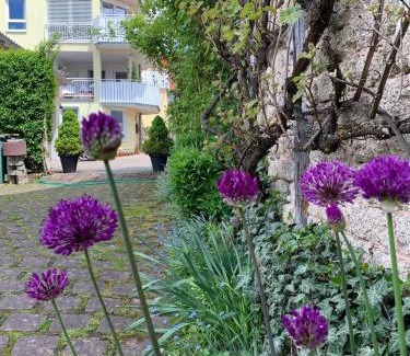 Bad Bocklet Apartment | Ferienwohnung am Obstgarten