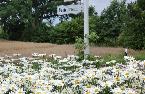 Wensin Apartment | Ferienwohnung am Sophienberg