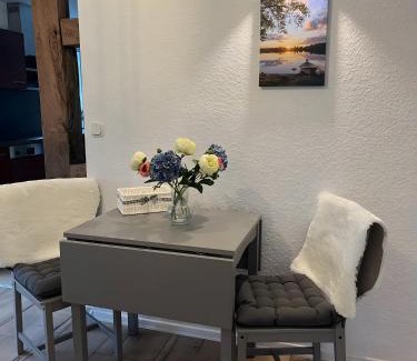 Holenberg Apartment | Ferienwohnung am Vogler