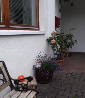 Bad Herrenalb Apartment | Ferienwohnung Am Wald
