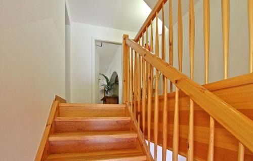 Muritz Apartment | Ferienwohnung Ankershagen