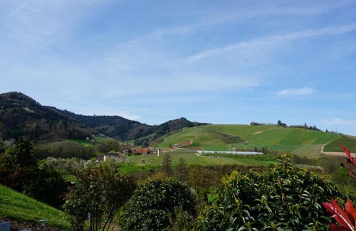 Durbach Apartment | Ferienwohnung Anna Durbach