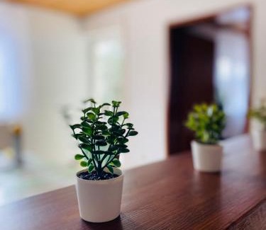 Rattelsdorf Apartment | Ferienwohnung Antonia