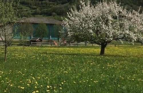 Li Curt Apartment | Ferienwohnung/app. für 2 Gäste mit 50m² in Poschiavo