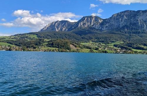 Nussdorf am Attersee Apartment | Ferienwohnung Claudia mit Terrasse