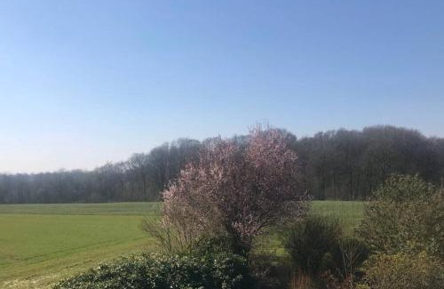 Laar Apartment | Ferienwohnung auf dem Land und trotzdem stadtnah.