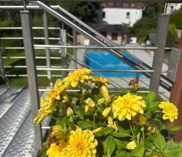 Stolberg Apartment | Ferienwohnung Auszeit im Südharz