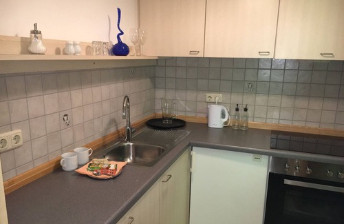 Altdorf Apartment | Ferienwohnung, Balkon, 1 Wohn-/Schlafraum, max. 3 Personen
