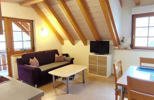 Munstertal Apartment | Ferienwohnung Bergblick, 45qm, 1 Schlafzimmer, max. 3 Personen