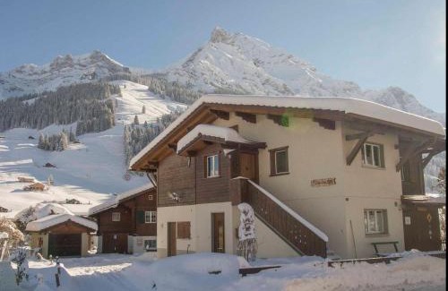 Adelboden Apartment | Ferienwohnung Bim Stei