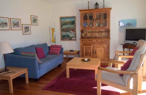 Adelboden Apartment | Ferienwohnung Bim Stei