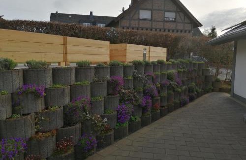 Nettersheim Apartment | Ferienwohnung Blumenparadies