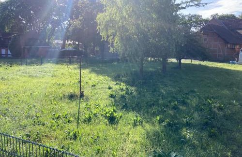 Klein Hehlen Apartment | Ferienwohnung Bungenhof Alpacas