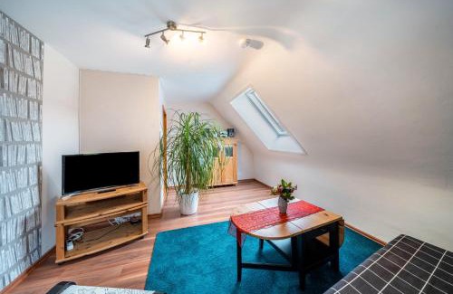 Hausach Apartment | Ferienwohnung Burgblick