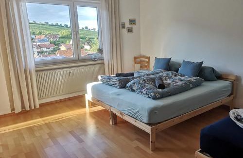 Leinsweiler Apartment | Ferienwohnung "Burgpanorama" in der Südpfalz