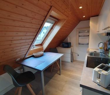 Breitenbrunn/Erzgeb. Apartment | Ferienwohnung Hänel