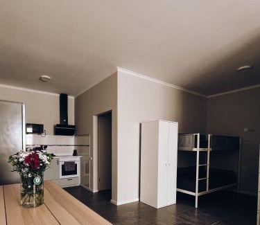 Freiberg am Neckar Apartment | Ferienwohnung, Monteur-Appartment R22